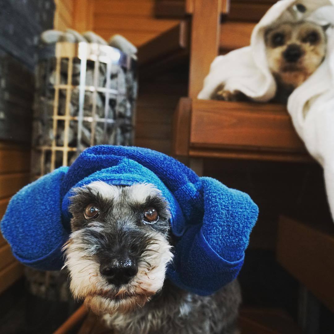 Cherrycoke my girl (5).jpg