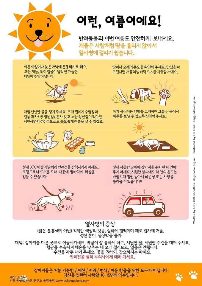 여름 주의보 20150529.jpg