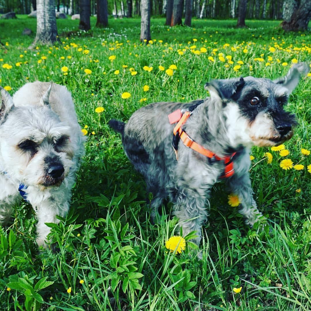 폴랑폴랑 마이그레이베이비.jpg