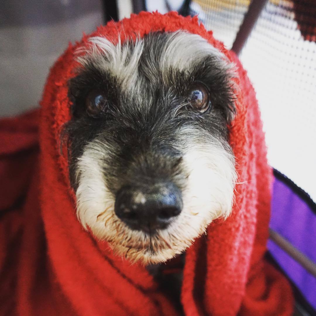 Cherrycoke my girl (4).jpg