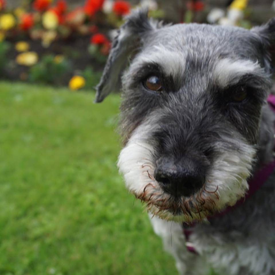 Cherrycoke my girl (2).jpg