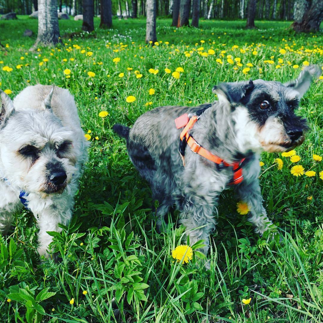 Cherrycoke my girl (7).jpg