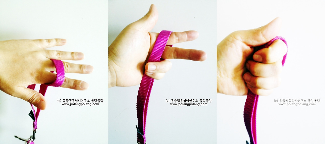 leash training explanationIMG_5410-horz.jpg