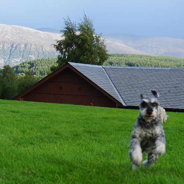 Cherrycoke my girl (3).jpg