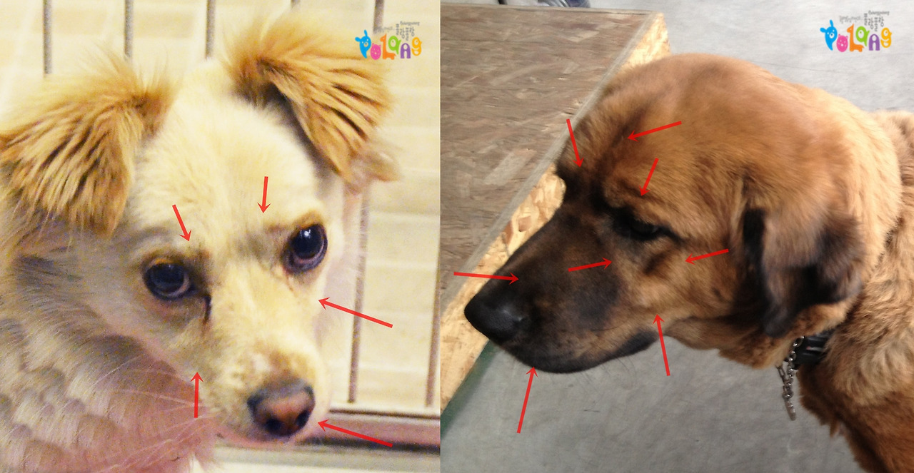 폴랑폴랑 경직된 근육 1-horz.jpg