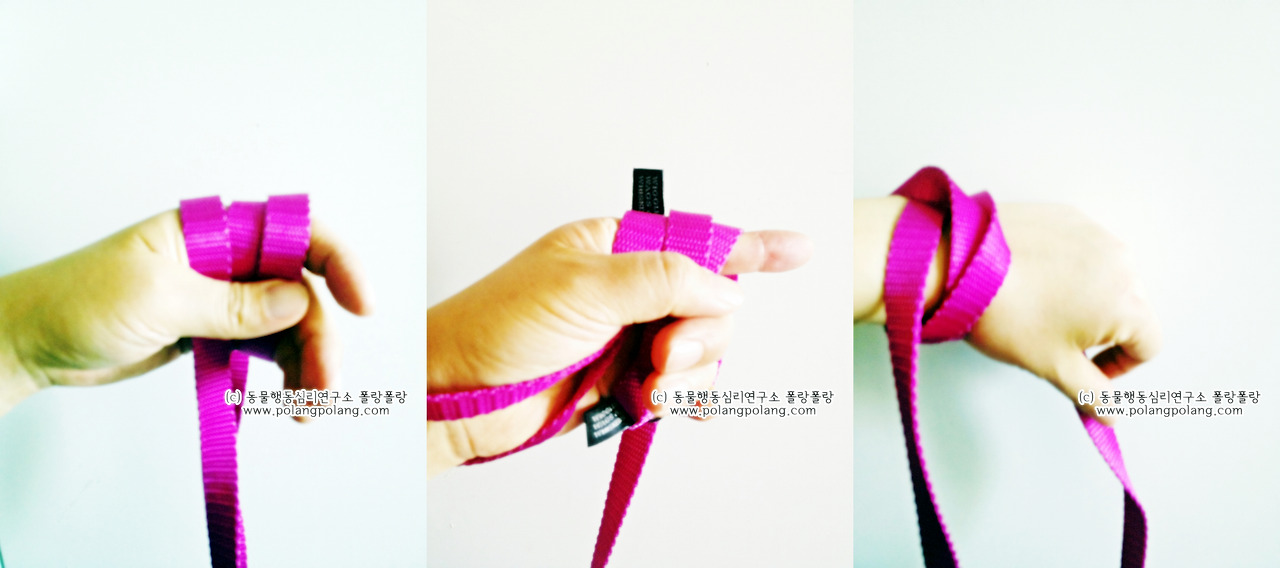 leash training explanationIMG_5415-horz.jpg