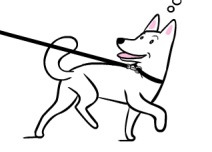 jindo polangpolang.jpg