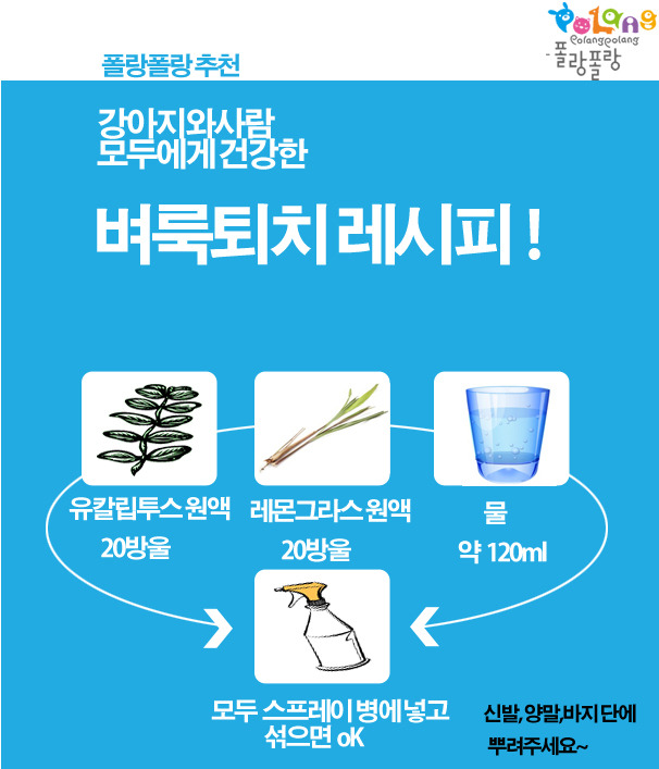 폴랑폴랑 벼룩퇴치레시피.jpg