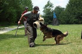 다운로드 (1).jpg