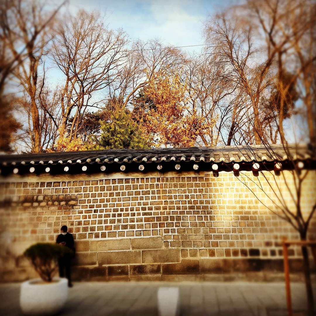 [ 돌담길 약속 ]