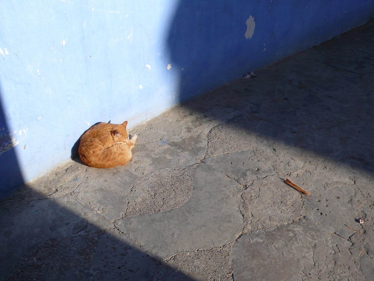 2010모로코 193.jpg