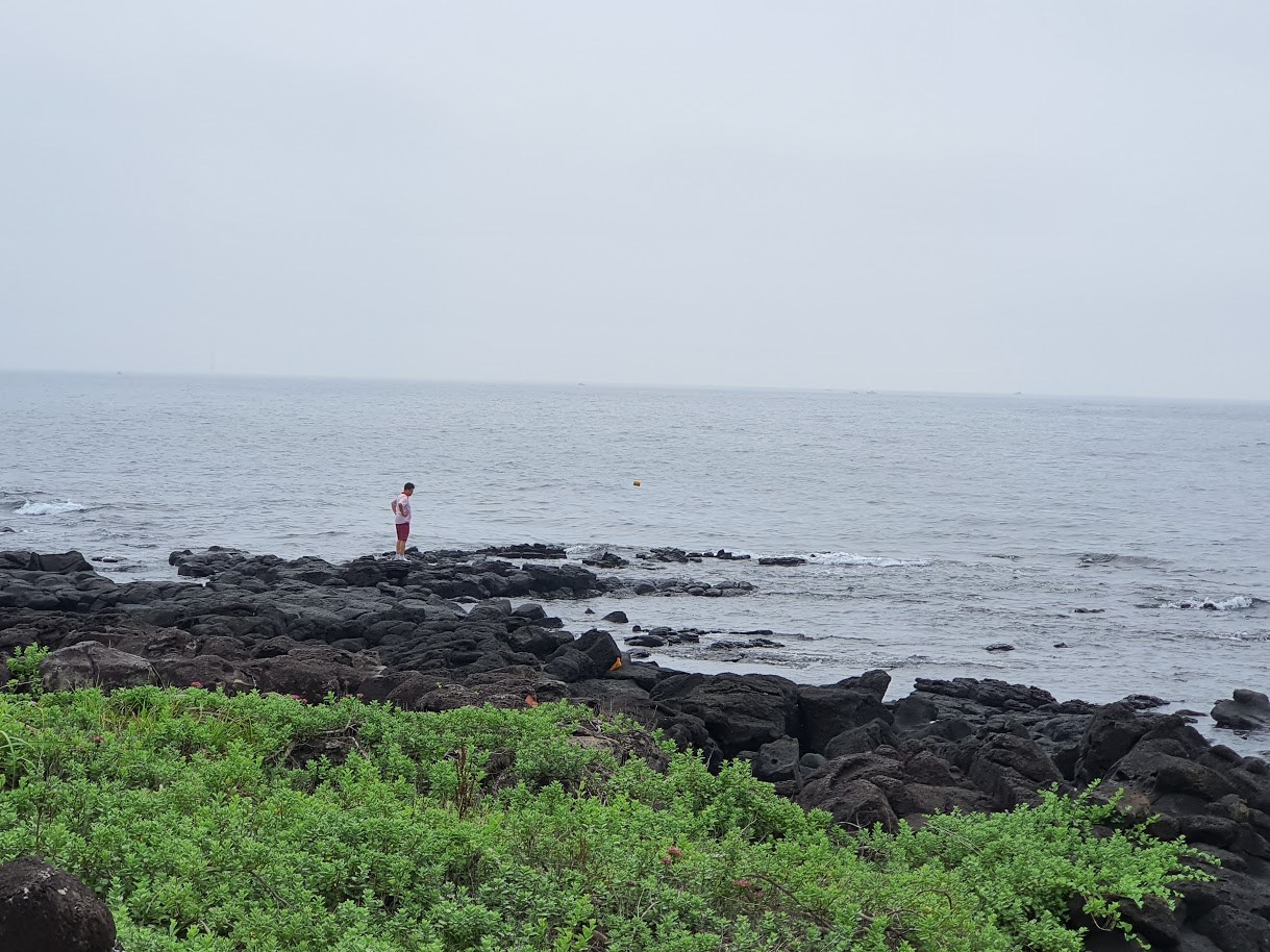 제주1.jpg