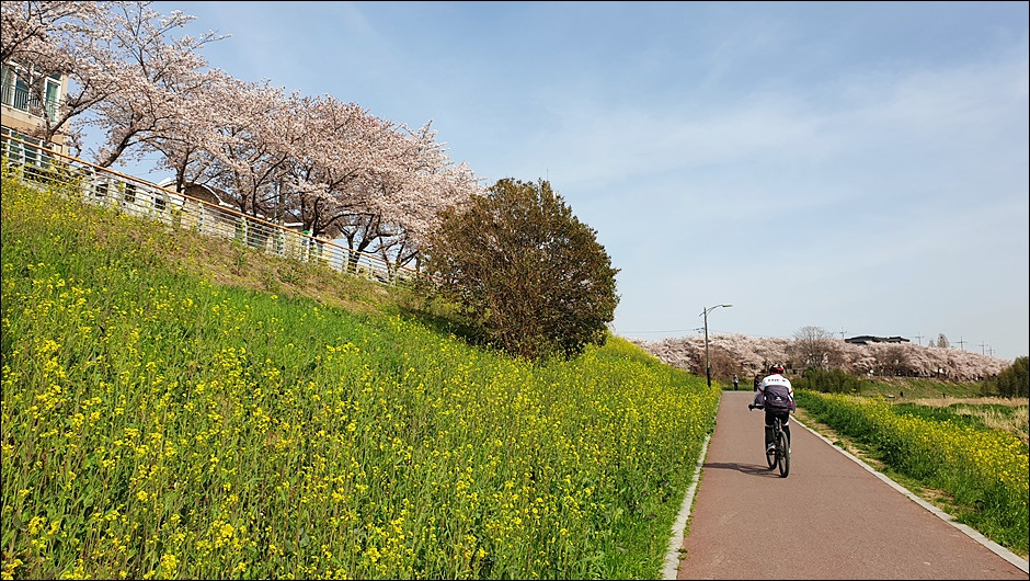 구름이길 (6).jpg