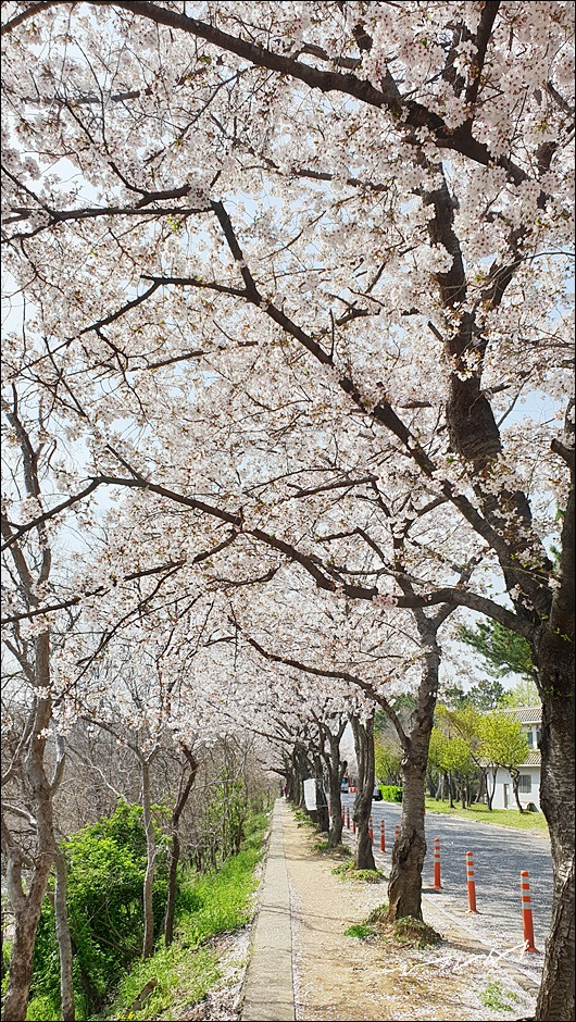 구름이길 (2).jpg