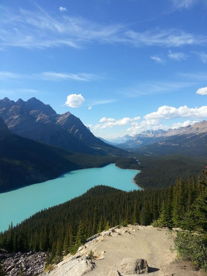 1175664_10151677871399091_68442544_n (1).jpg