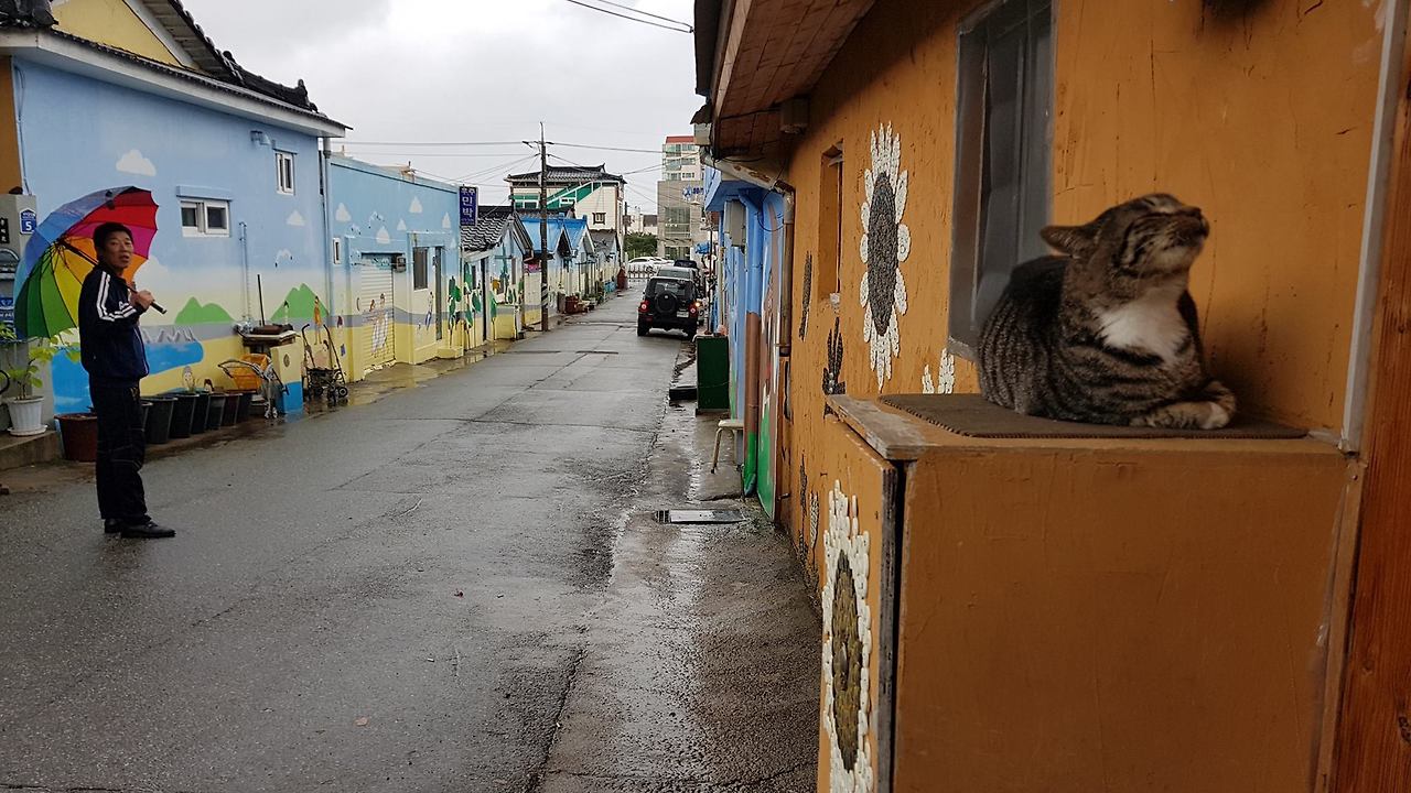 465530571_9060994907266736_3719055607818573230_n (1).jpg