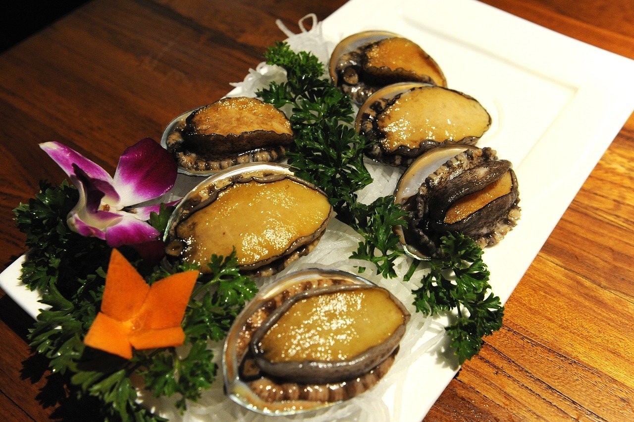 abalone-2495964_1280.jpg