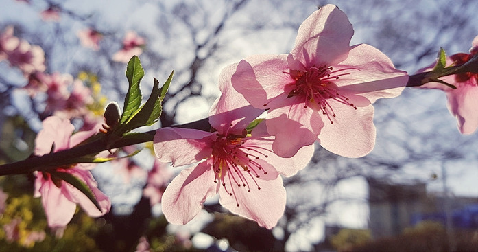 20180901_134546-주영미 (10).jpg