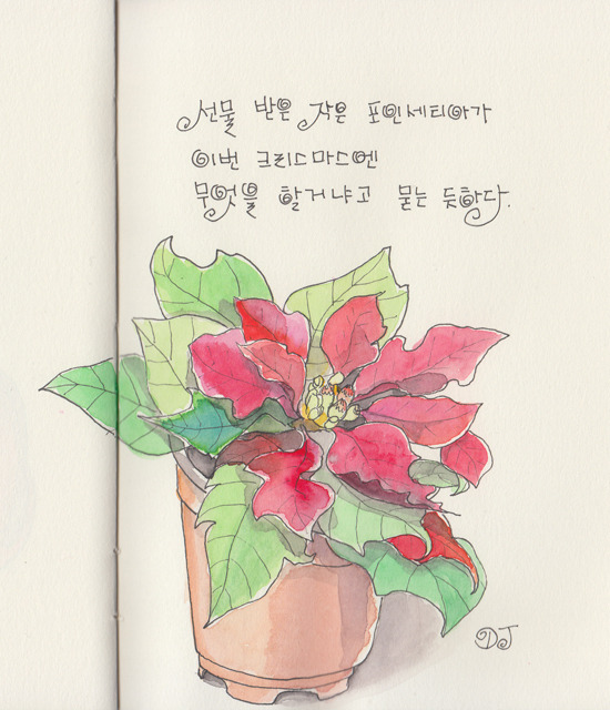 2012-12-02-pointsettia.jpg