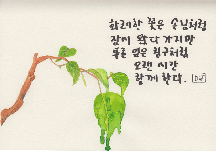 꽃처럼 화려하진 않지만.