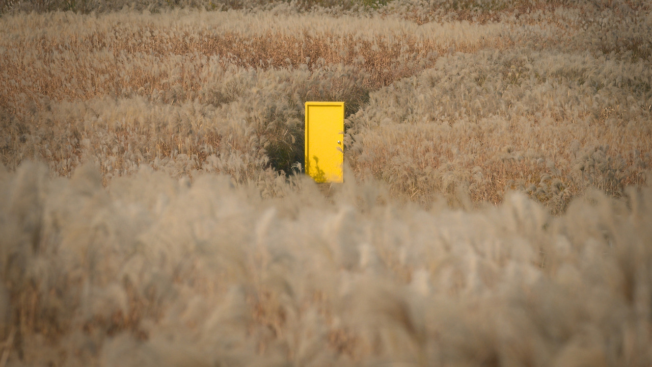 4_WA_DS_노란문 세기말 시네필 다이어리.jpg