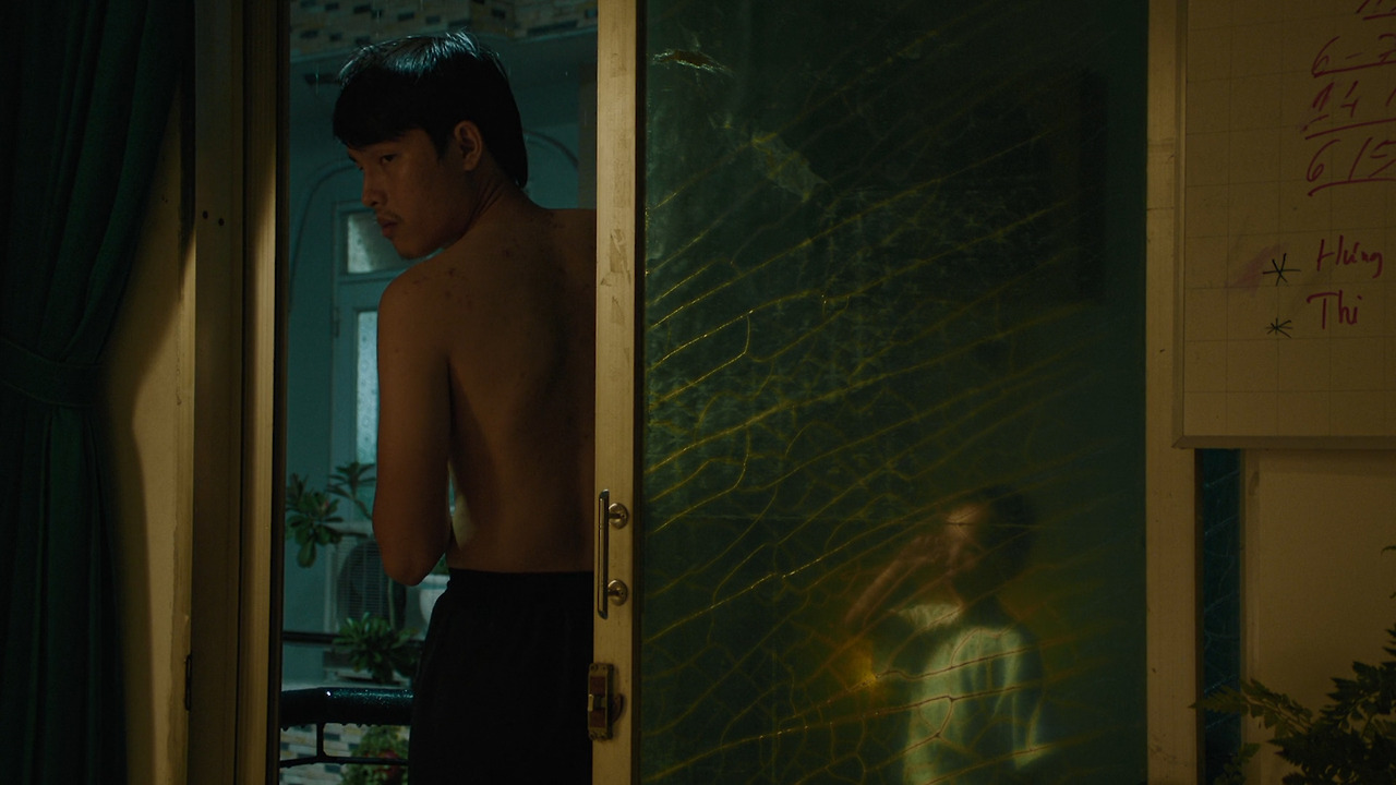 3_AC_Inside the Yellow Cocoon Shell.jpg