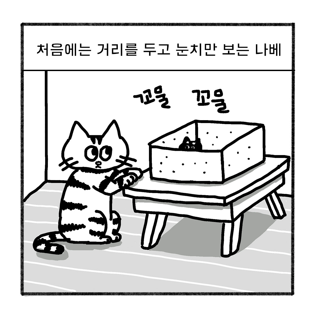 2020-0520-box-어른이 되어야지-s-05.jpg