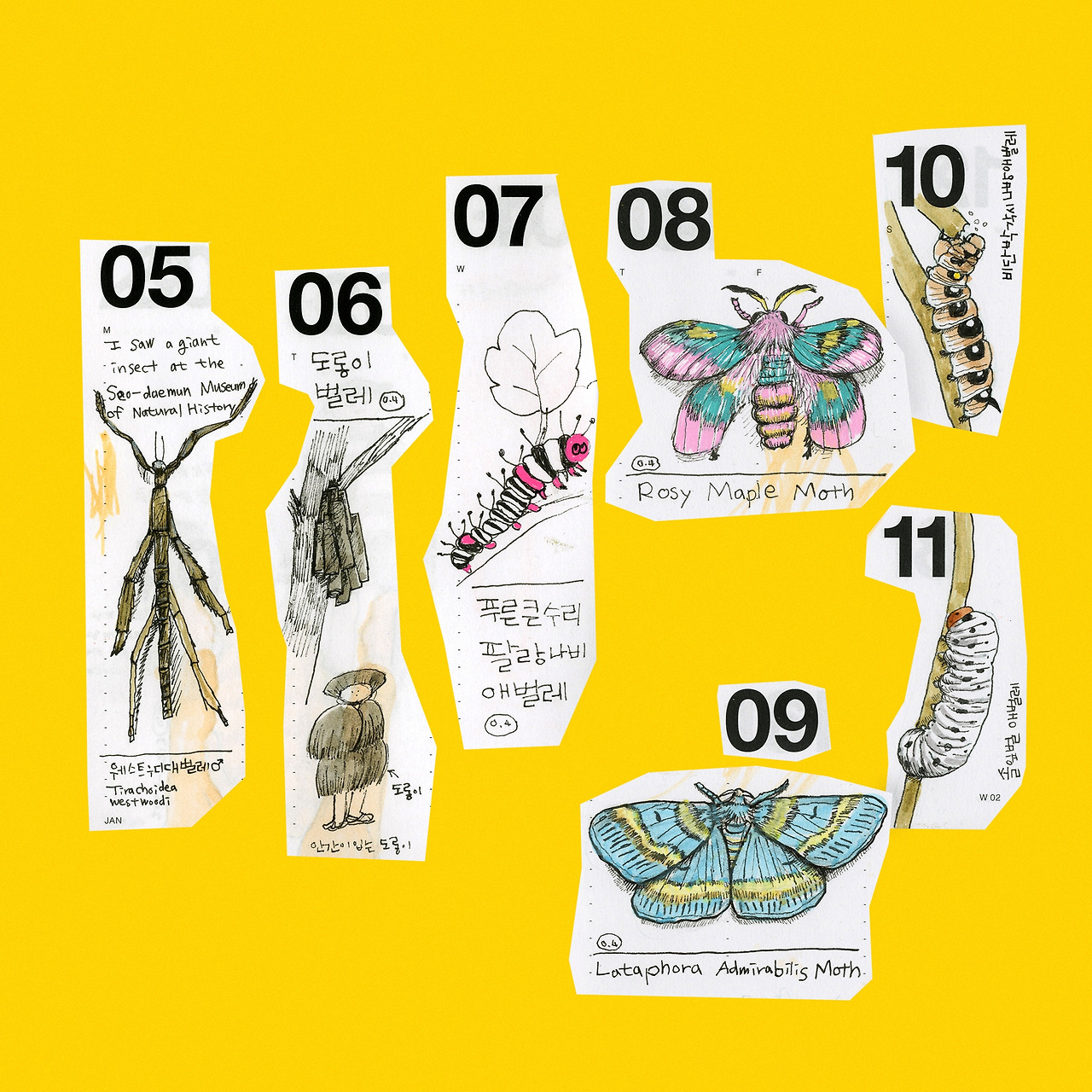 2026-0111-일주일테마-곤충-crop-02.jpg