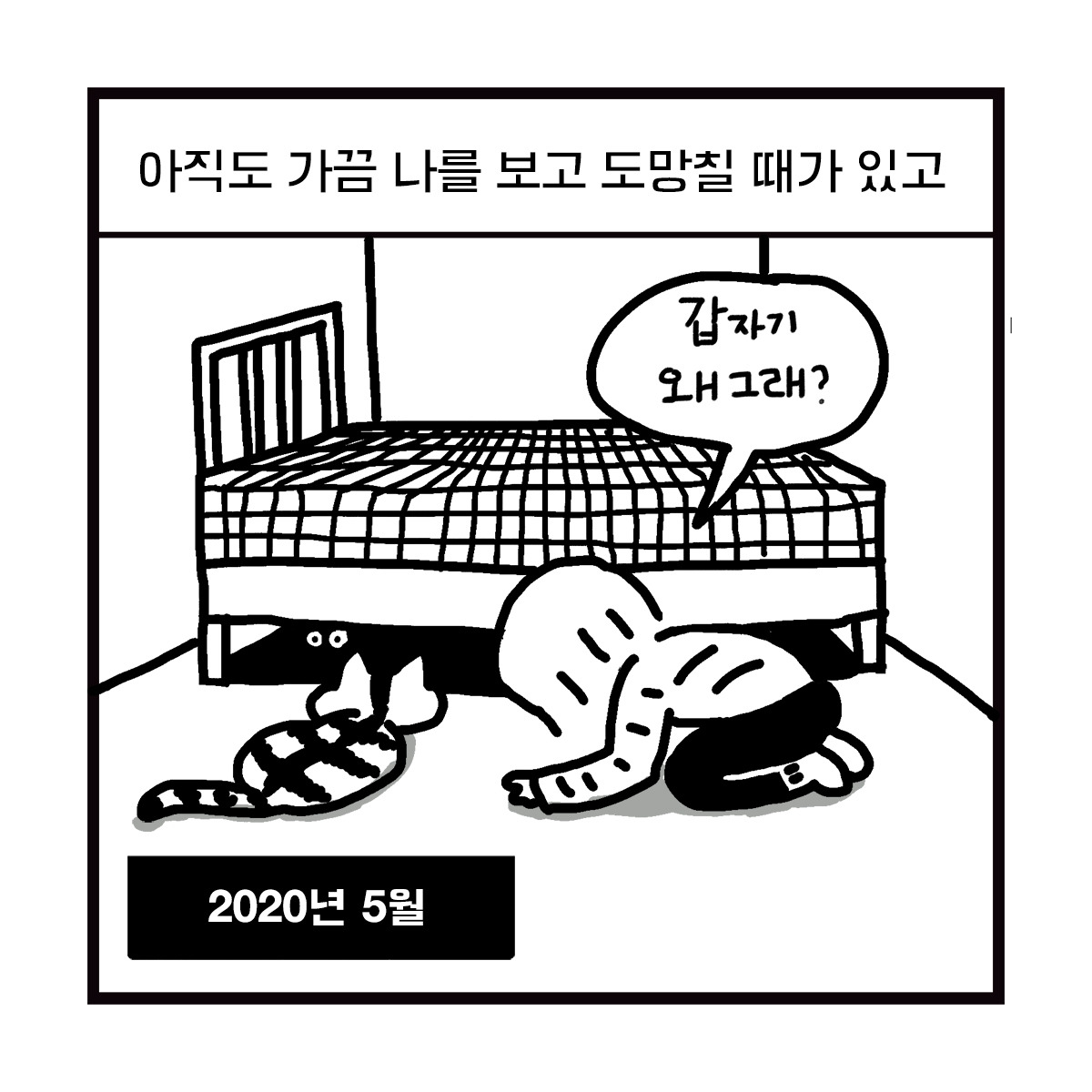2020-0528-box-이리의기원-s-03.jpg