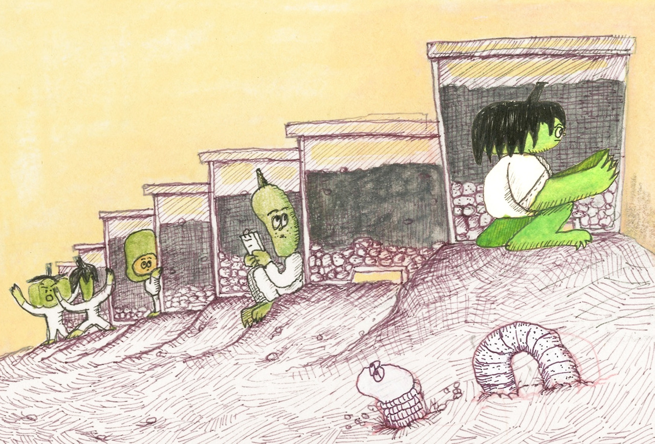 2025-0714-분갈이시험-펜선-다른채소들 복사.jpg