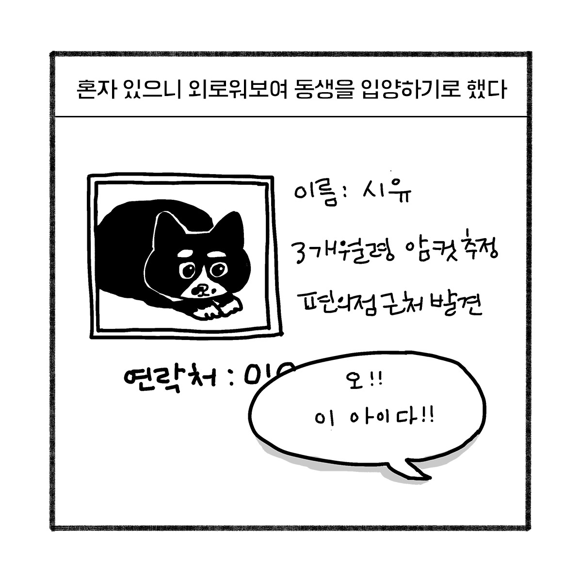 2020-0516-box-이리의_실체-s-02.jpg