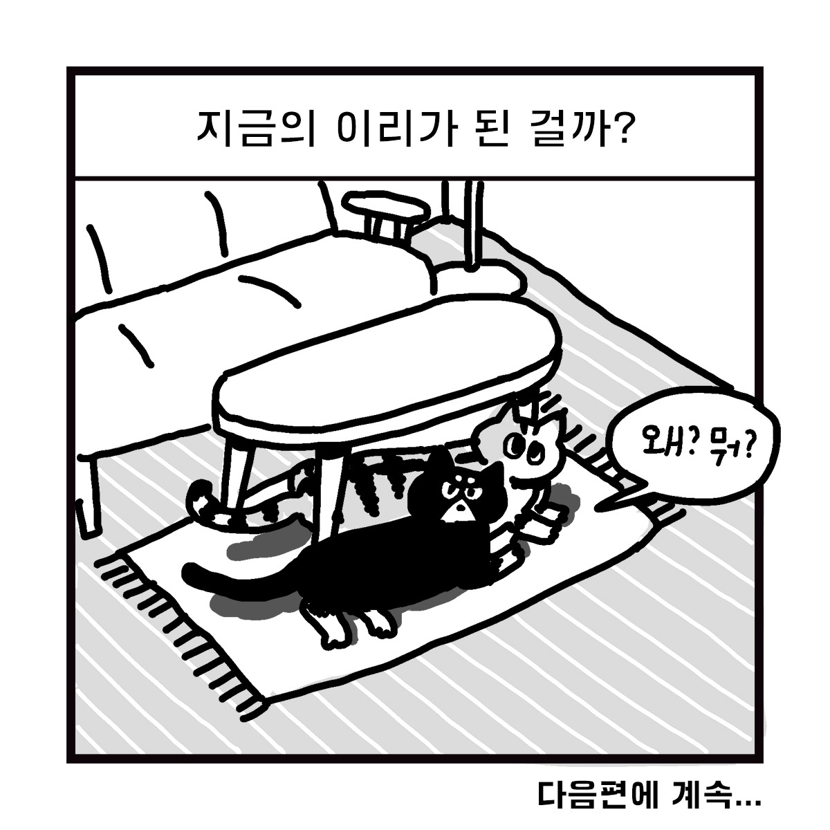 2020-0528-box-이리의기원-s-10.jpg