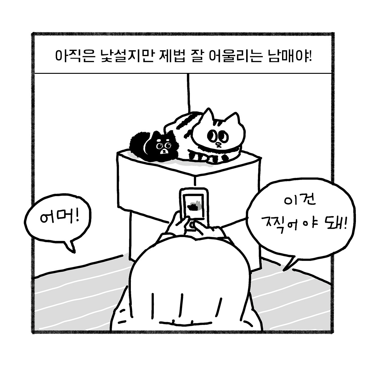 2020-0516-box-이리의_실체-s-06.jpg