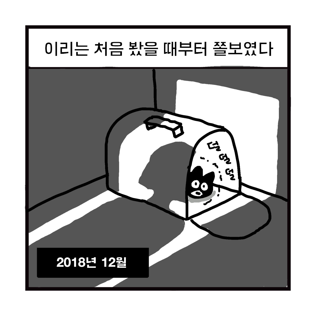 2020-0528-box-이리의기원-s-01.jpg