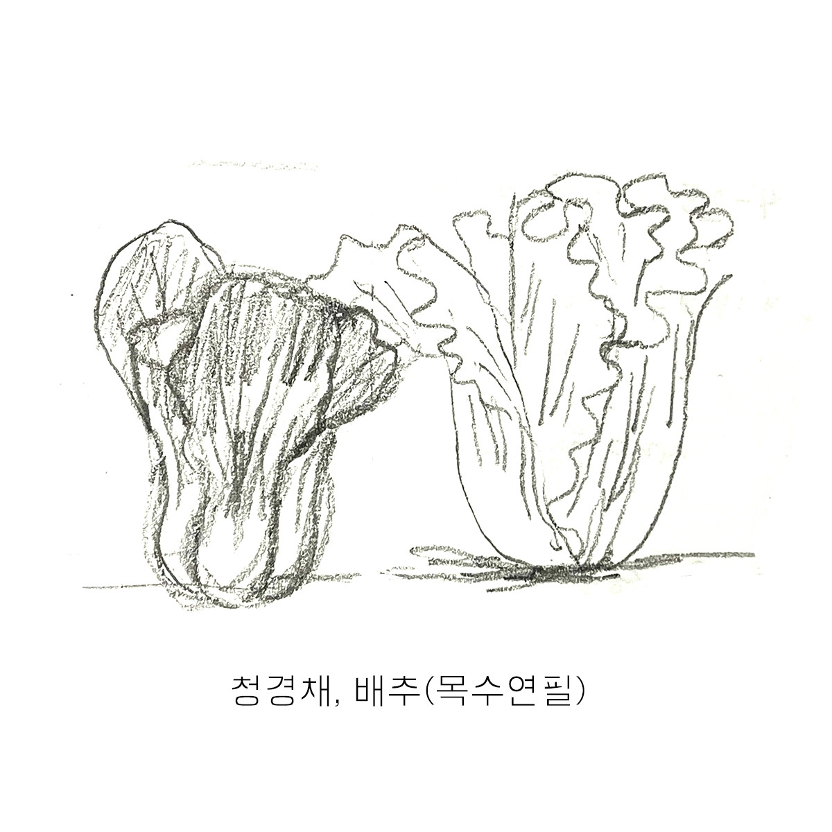 2024-0523-버섯채소달팽이-s-03.jpg