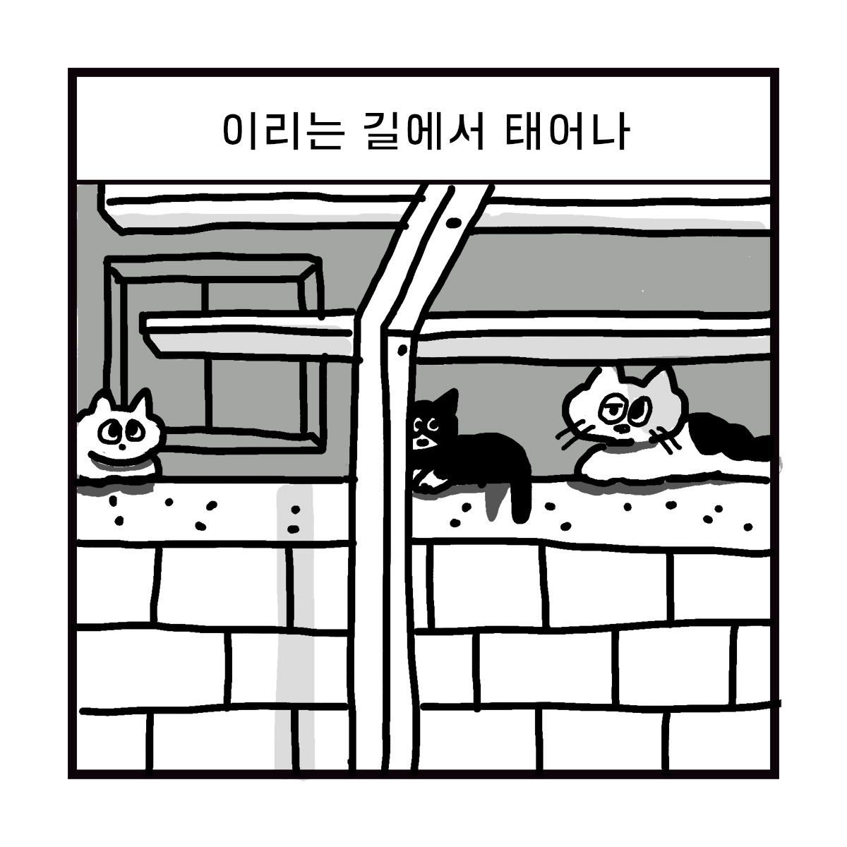 2020-0528-box-이리의기원-s-07.jpg