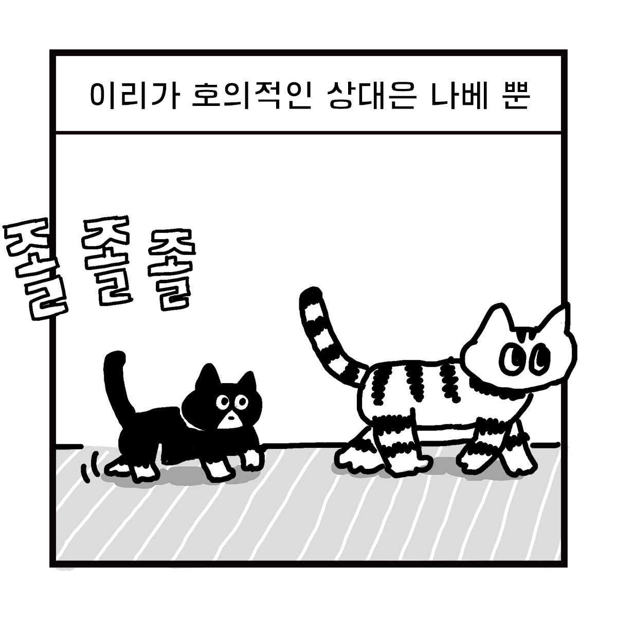 2020-0528-box-이리의기원-s-05.jpg