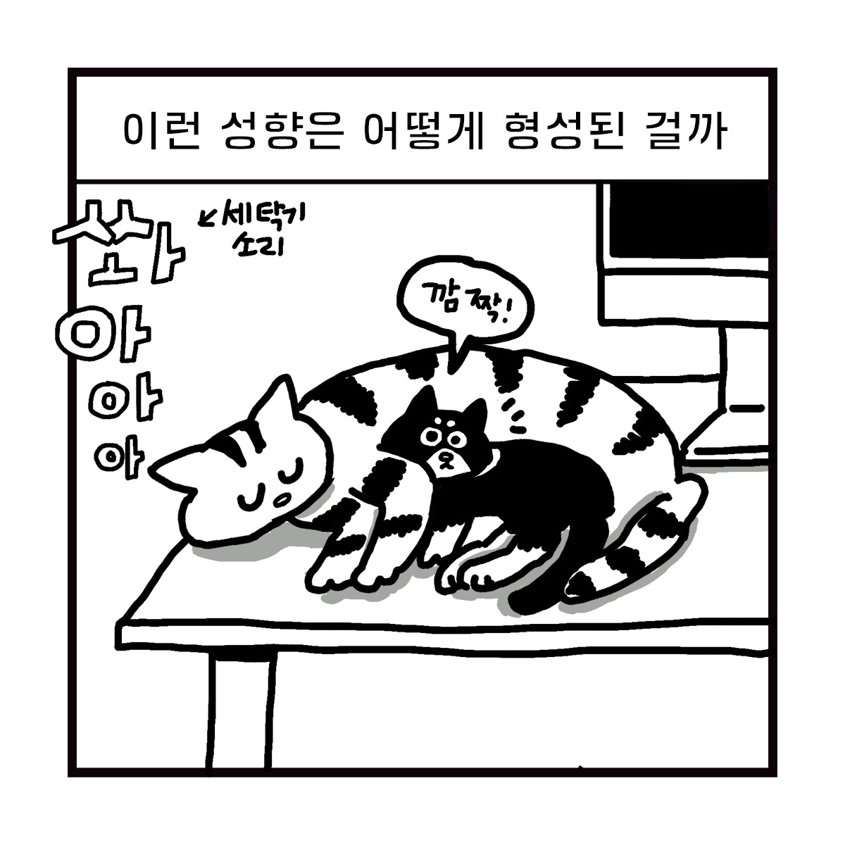 2020-0528-box-이리의기원-s-06.jpg