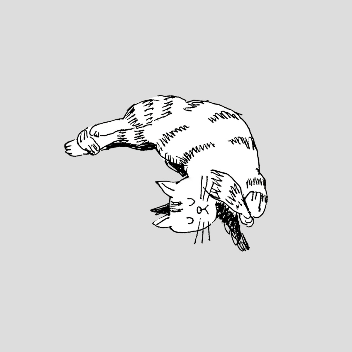 2020-1101-자는 고양이-낱개-s-01.jpg