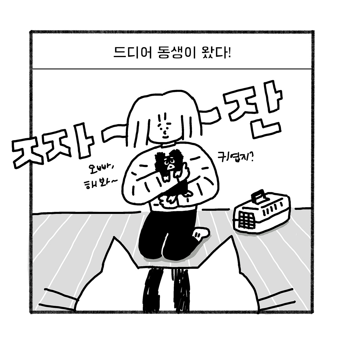 2020-0516-box-이리의_실체-s-05.jpg