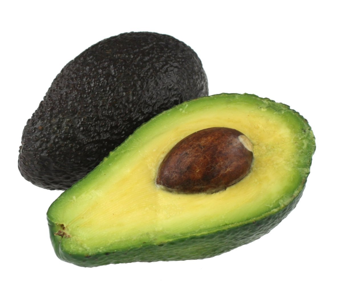 avocado01-lg.jpg