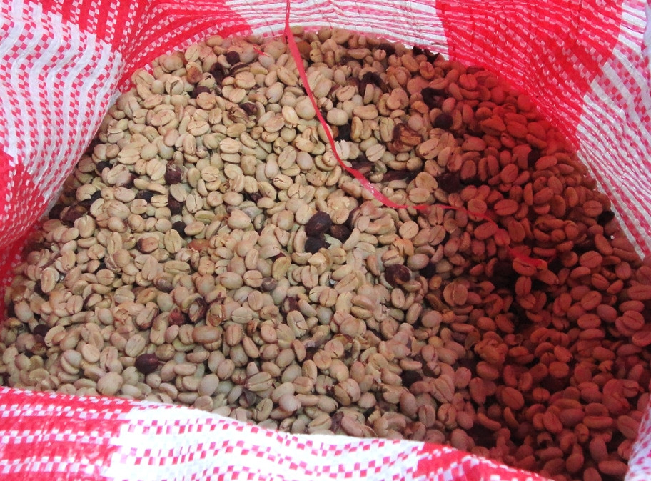 자루에 들은 건조된 커피콩.jpg