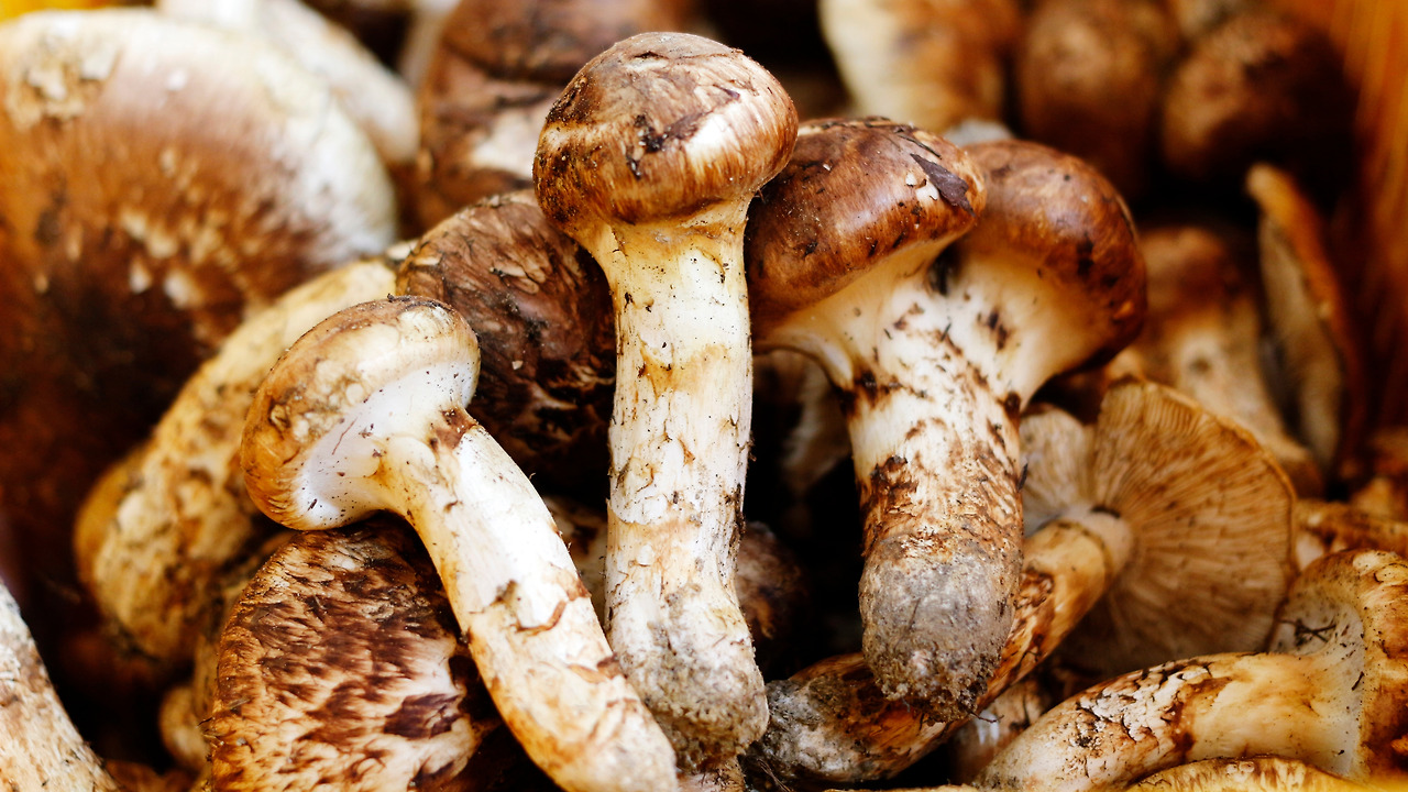 2015_1002_굴구지마을 023_1.jpg