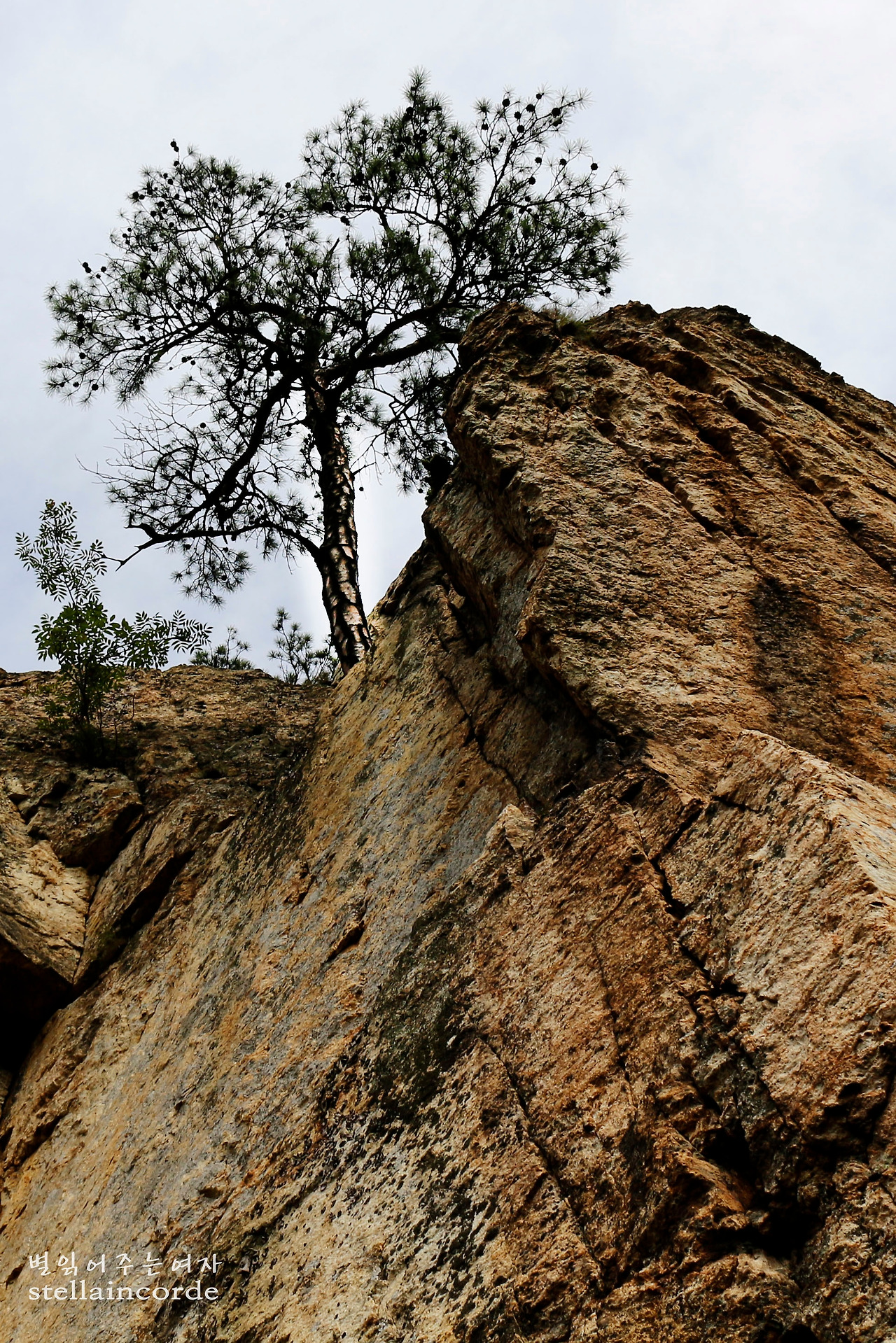 2017_0904_wonjoo 077_3.jpg