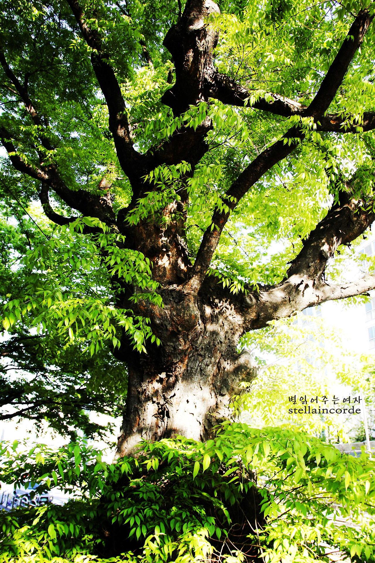 2015_0427_수원용인 827_2.jpg