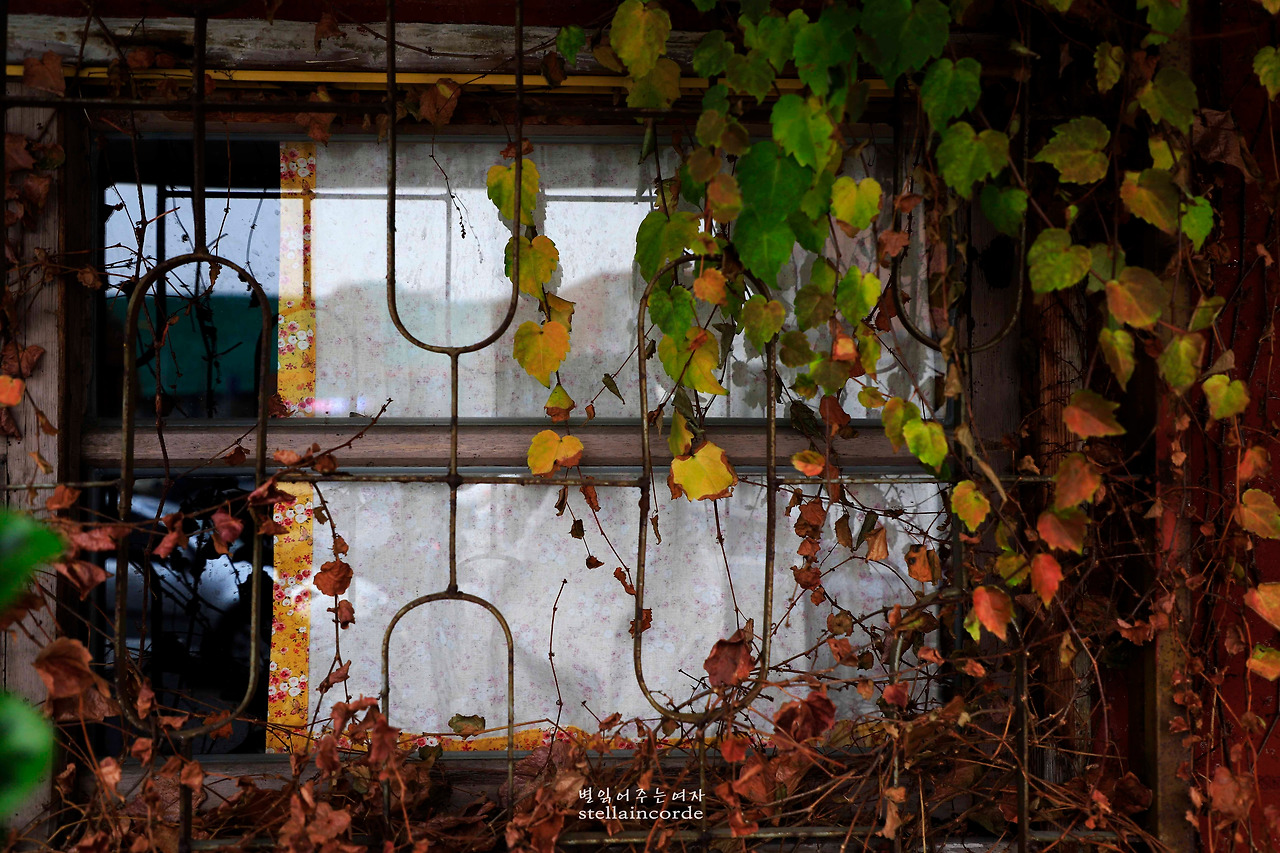 2018_1127_goonsannonsan 020_2.jpg