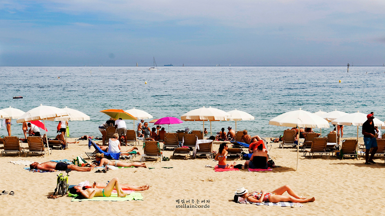 2017_0528_bcn 037_2.jpg