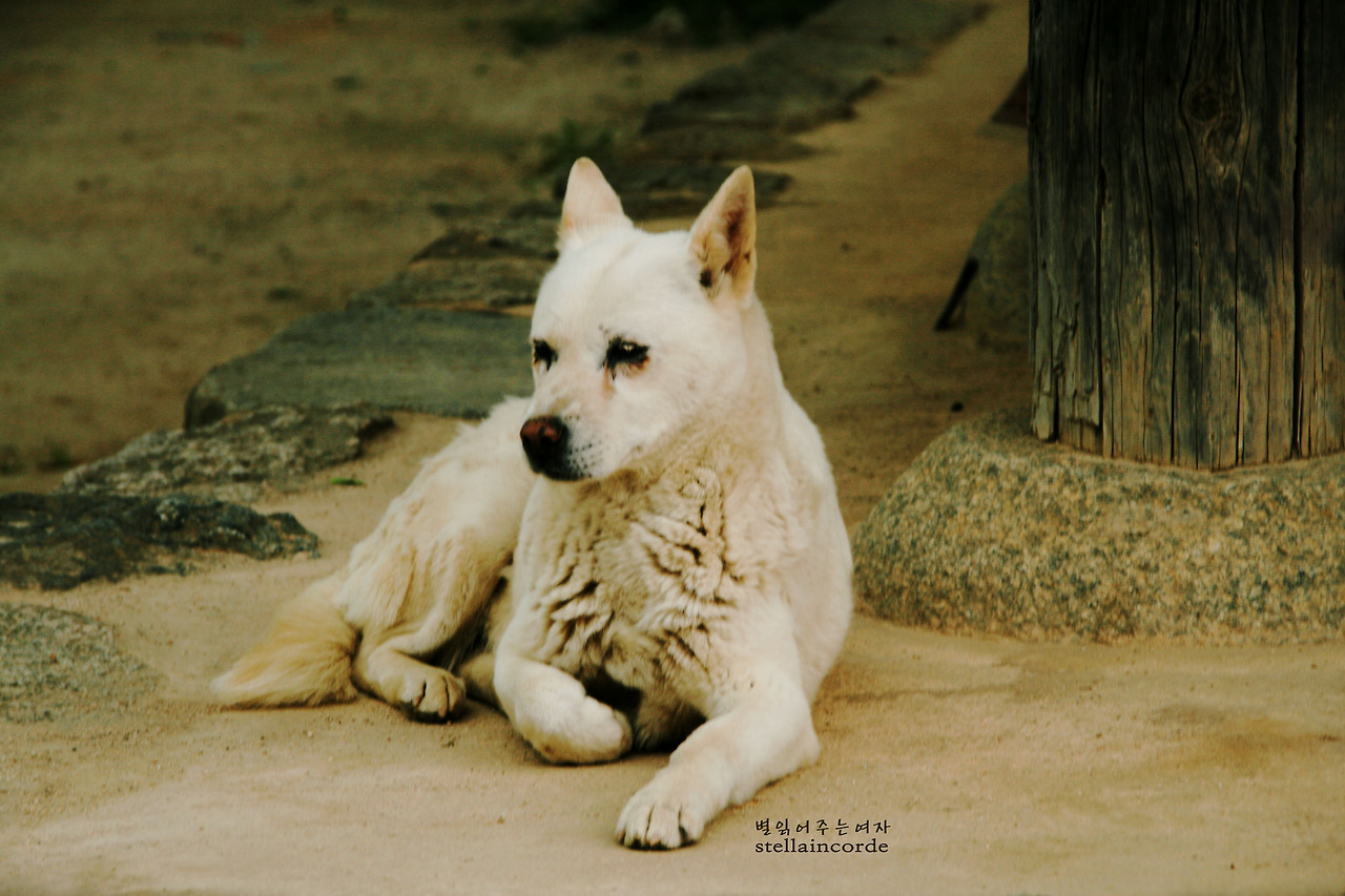 2011-05-jiri-2 004_2.jpg