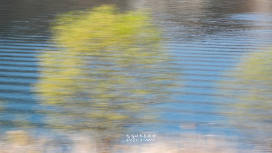 2019_0407_강천섬 596_3.jpg