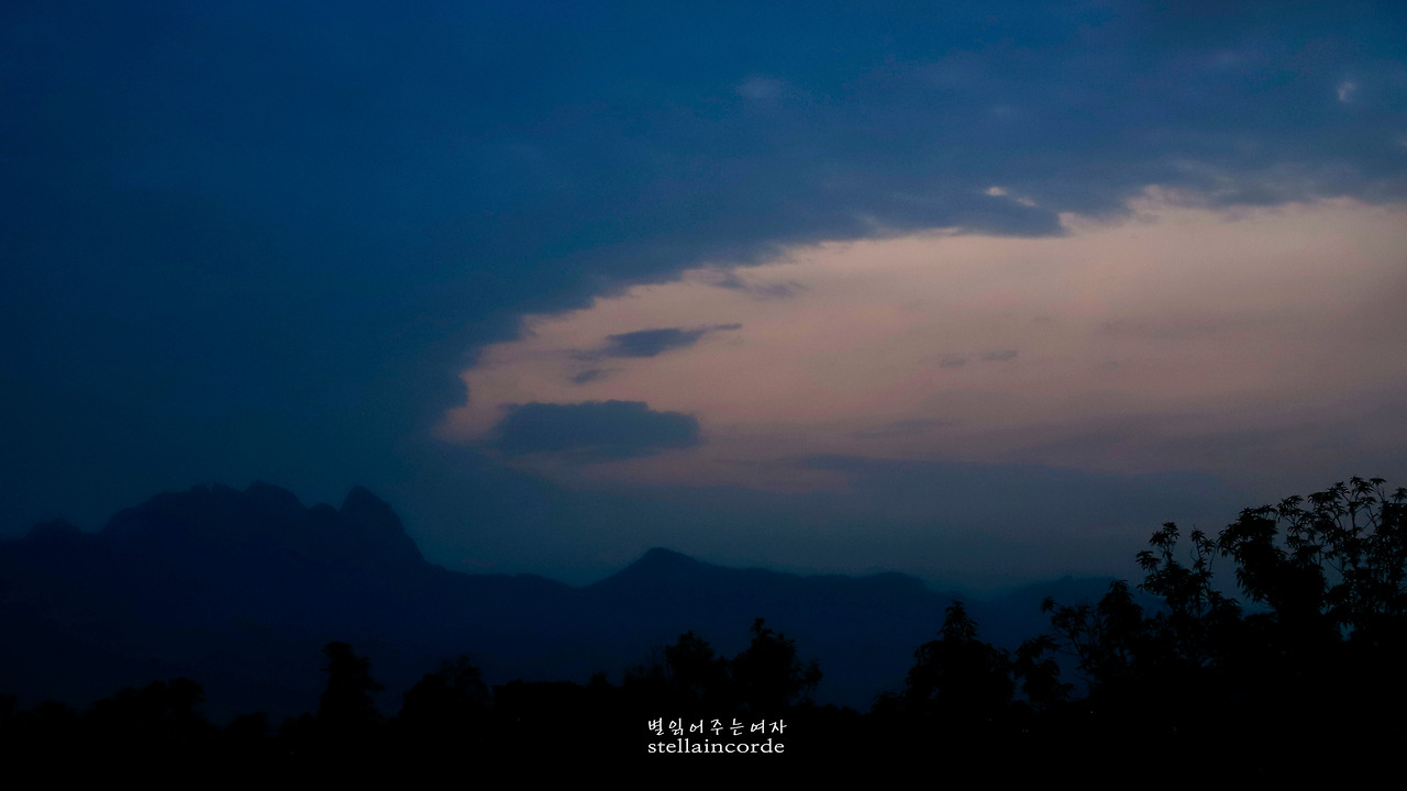 2019_0605_san 215_6.jpg